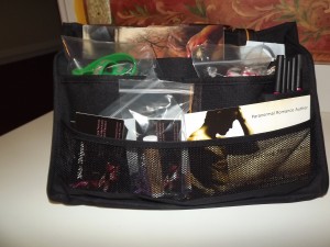 Car Organizer5